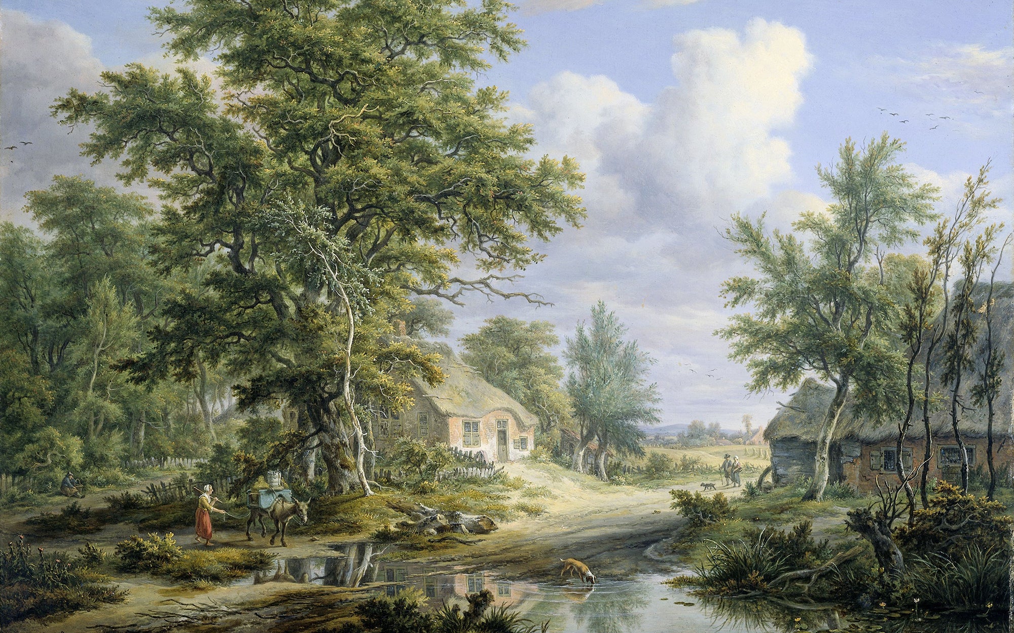 Boerderijen aan de rand van een bos
