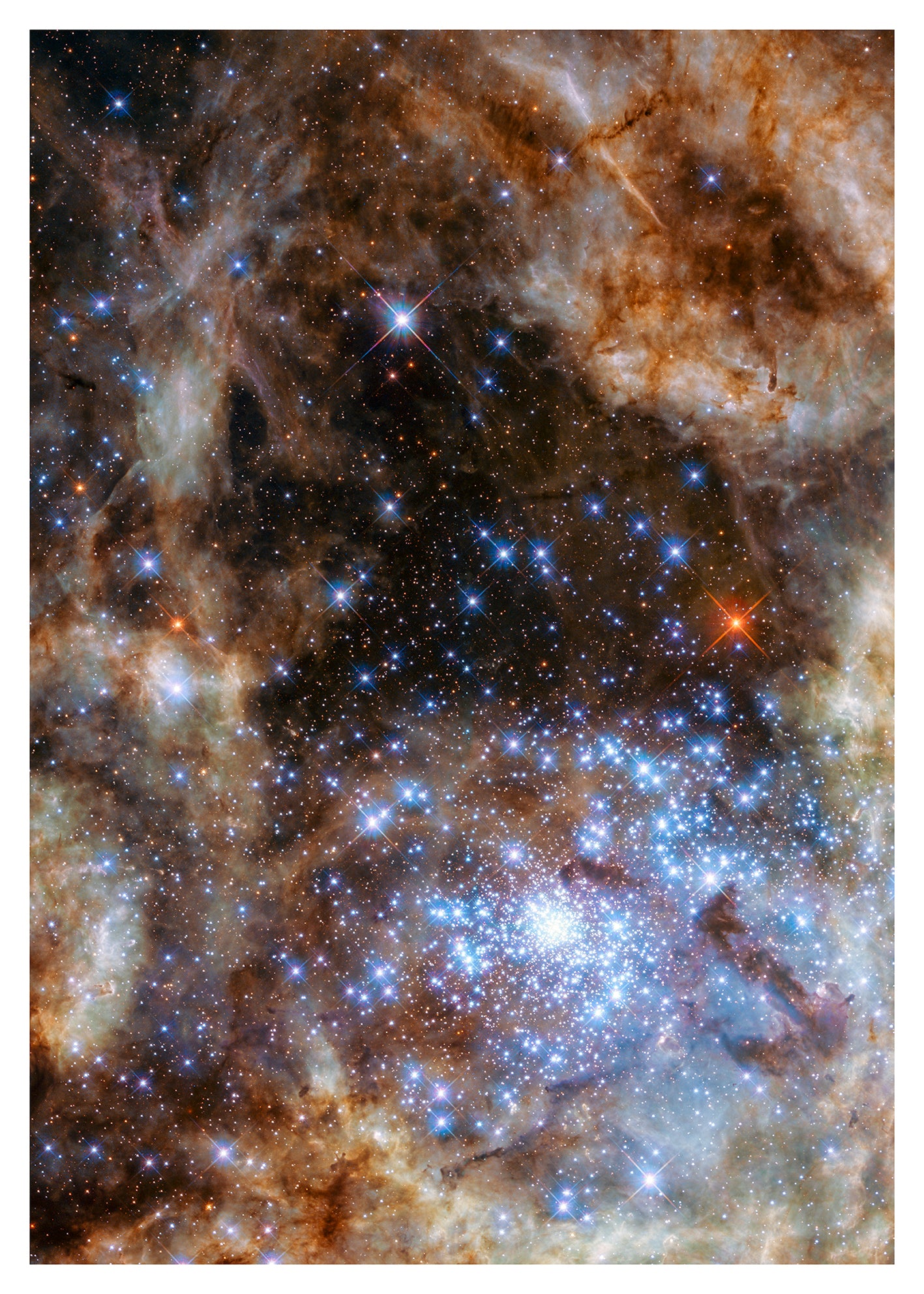 Center Of Tarantula Nebula