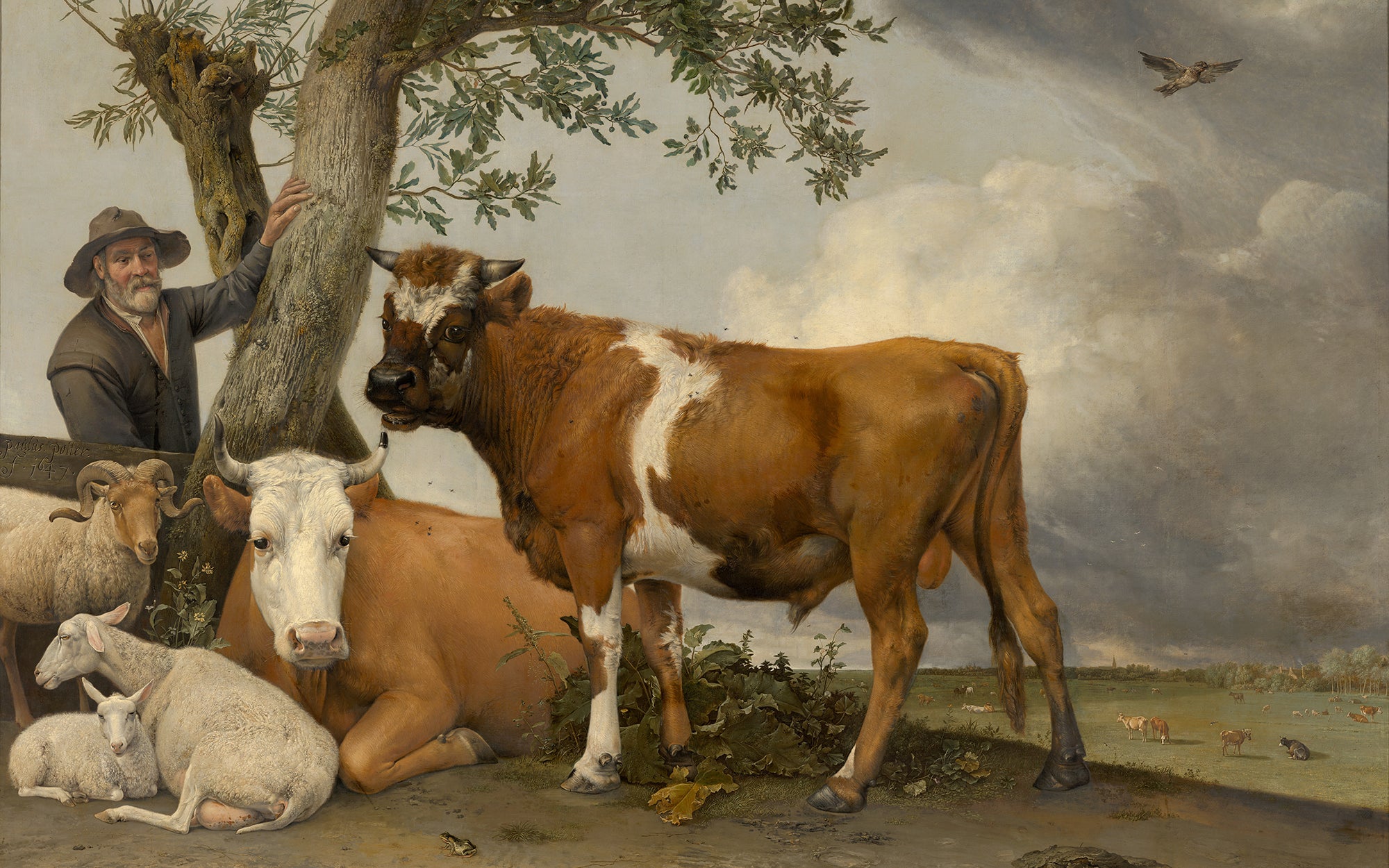 De stier