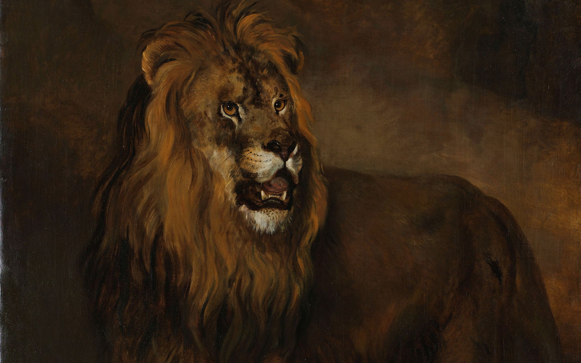 Een leeuw uit de menagerie van Lodewijk Napoleon