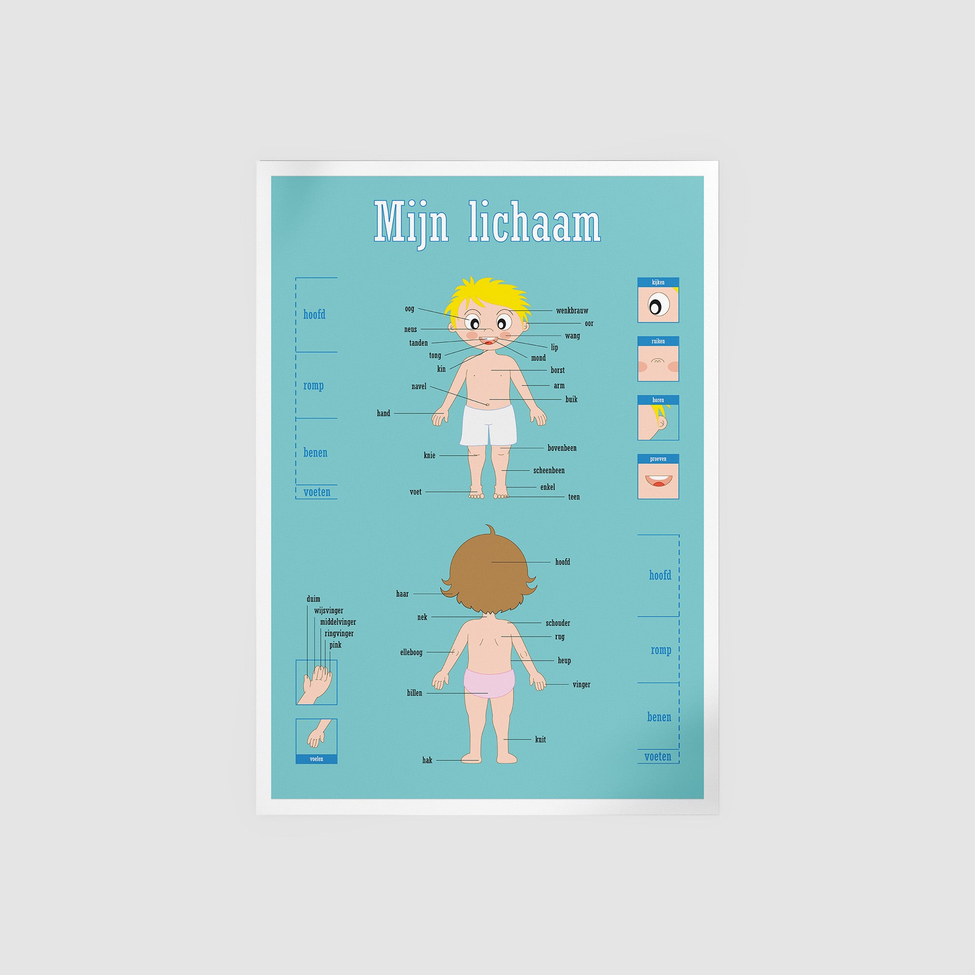 Mijn lichaam Biologie Prints en posters Pepperwall Nederland