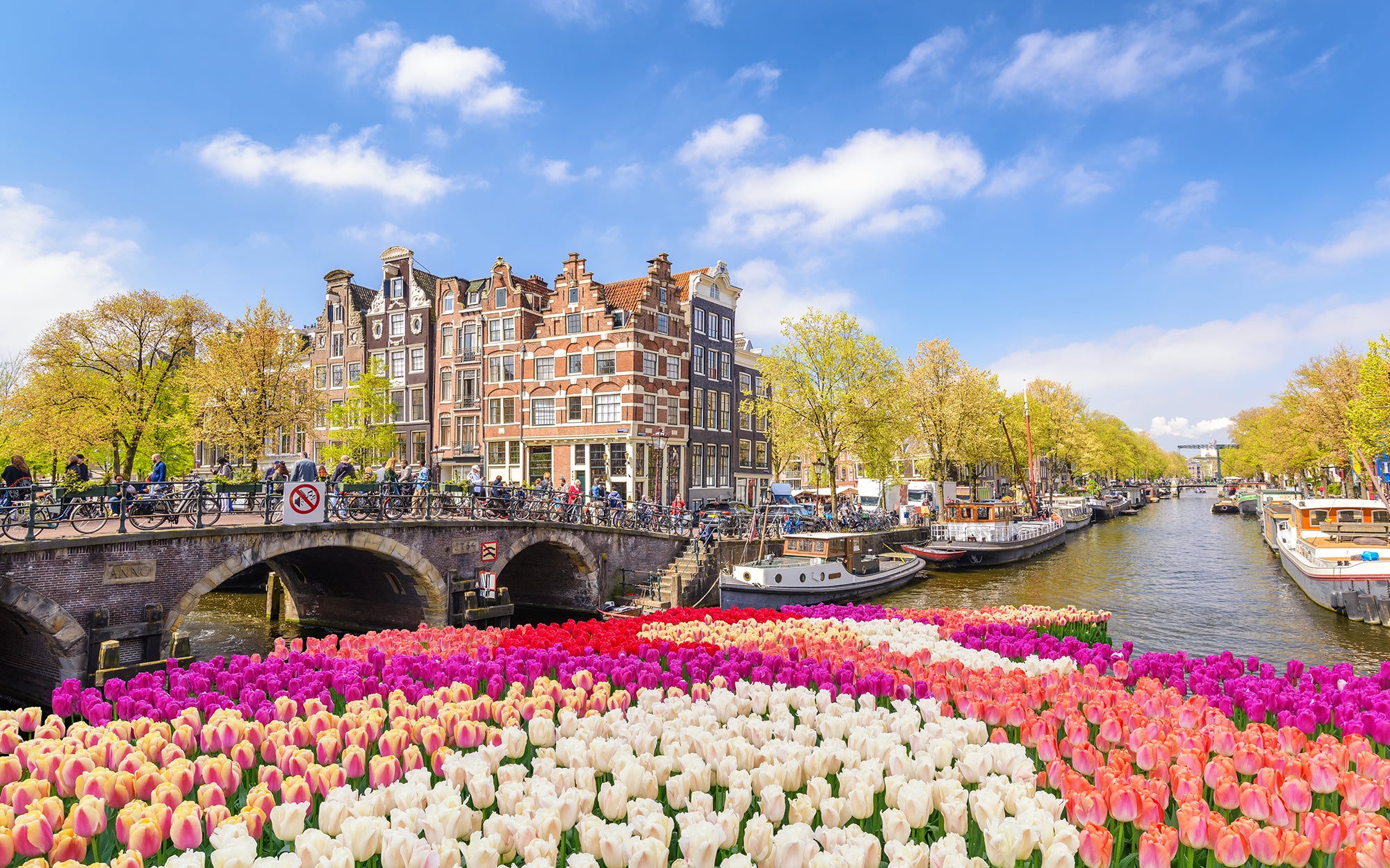 Tulpen uit Amsterdam