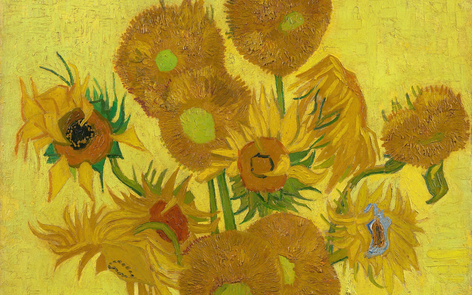 Zonnebloemen