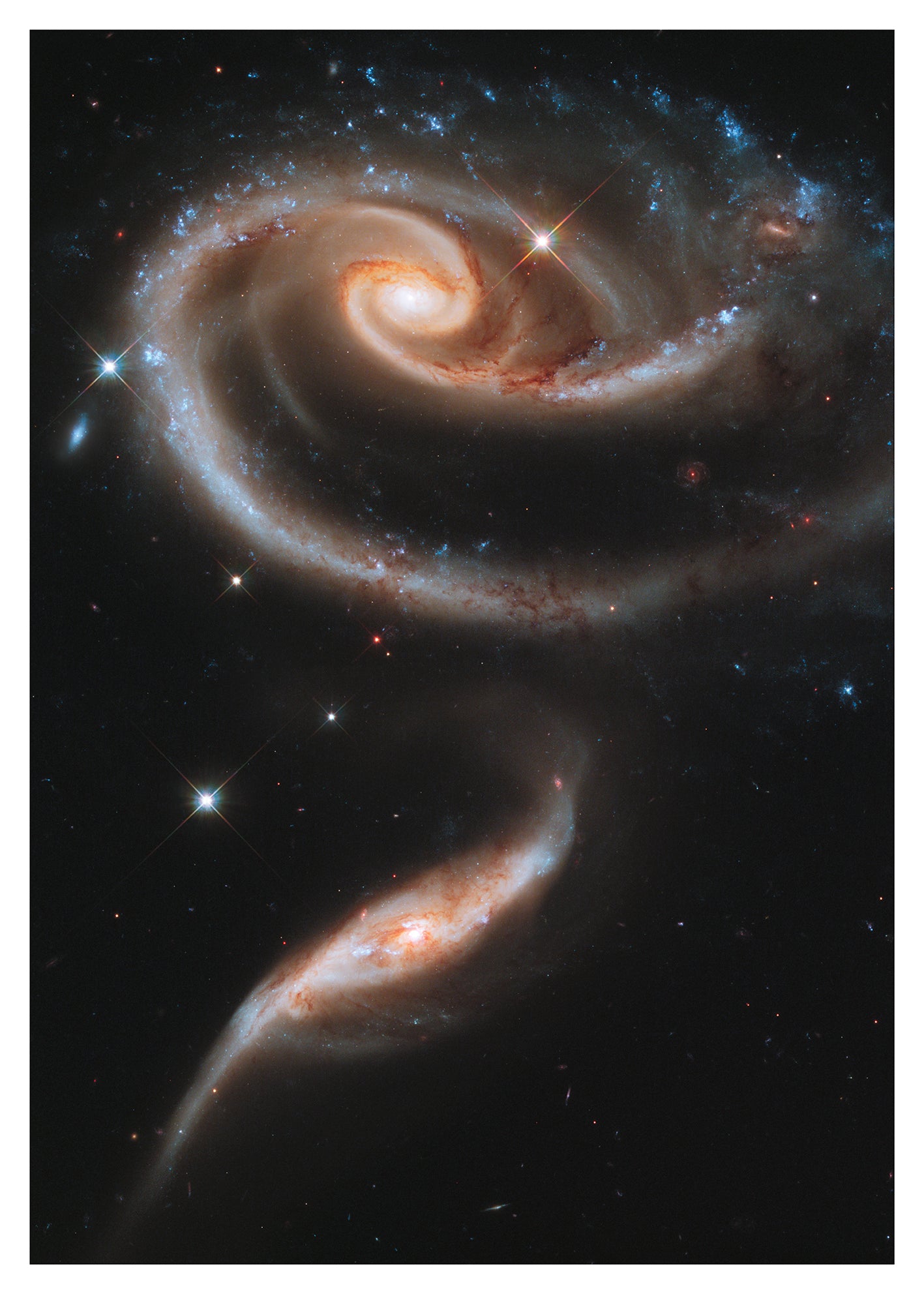 A Rose Made Of Galaxies Arp 273