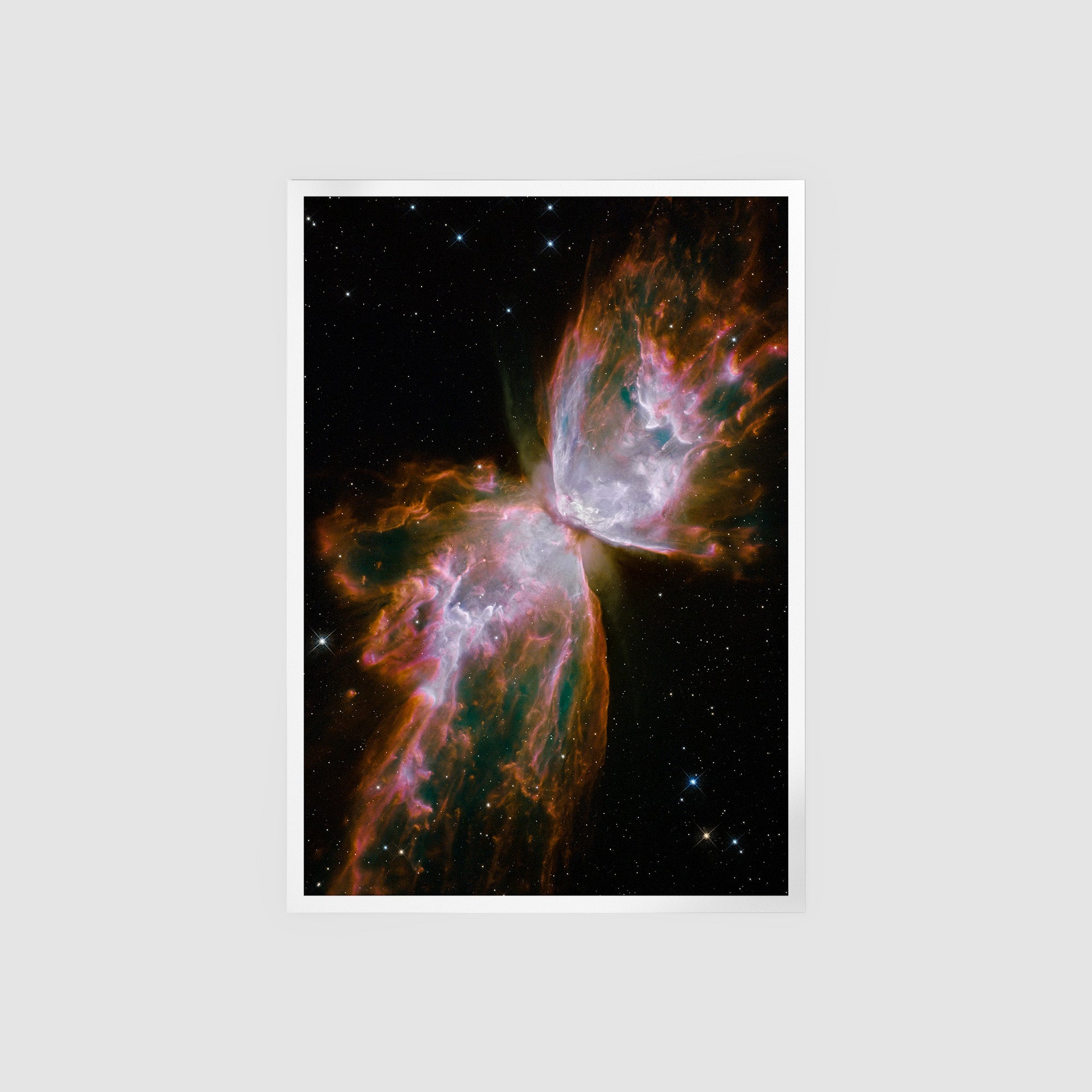 Butterfly Emerges In NGC 6302