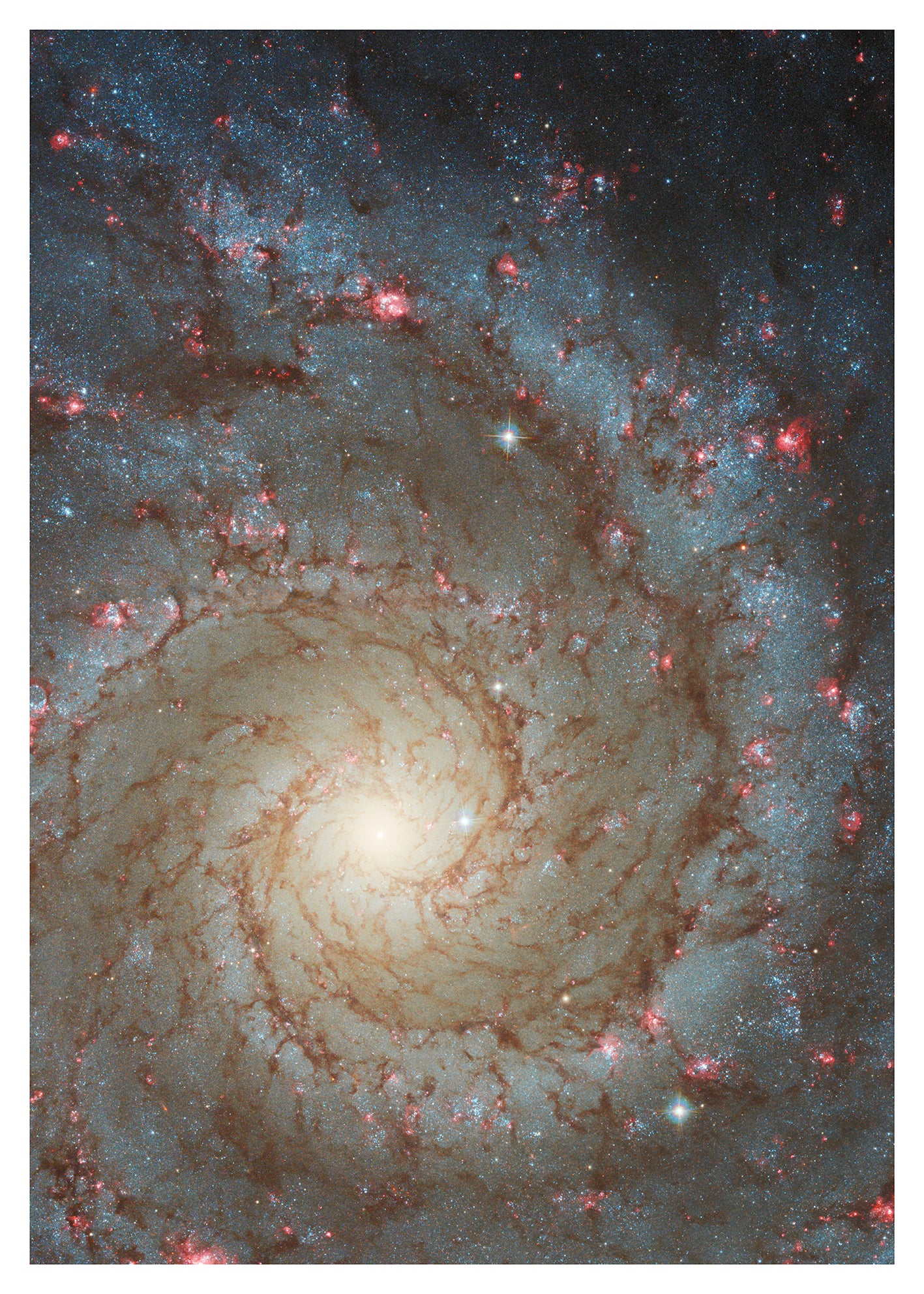 Hubble Gazes Into Rosy Pink M74