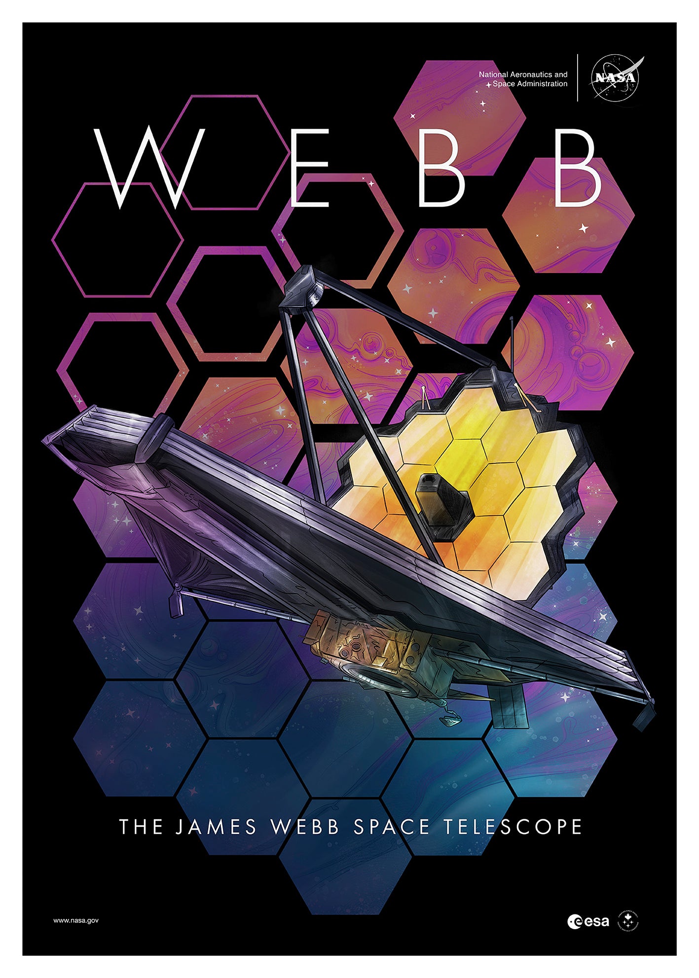 The First Anniversary Of Webb