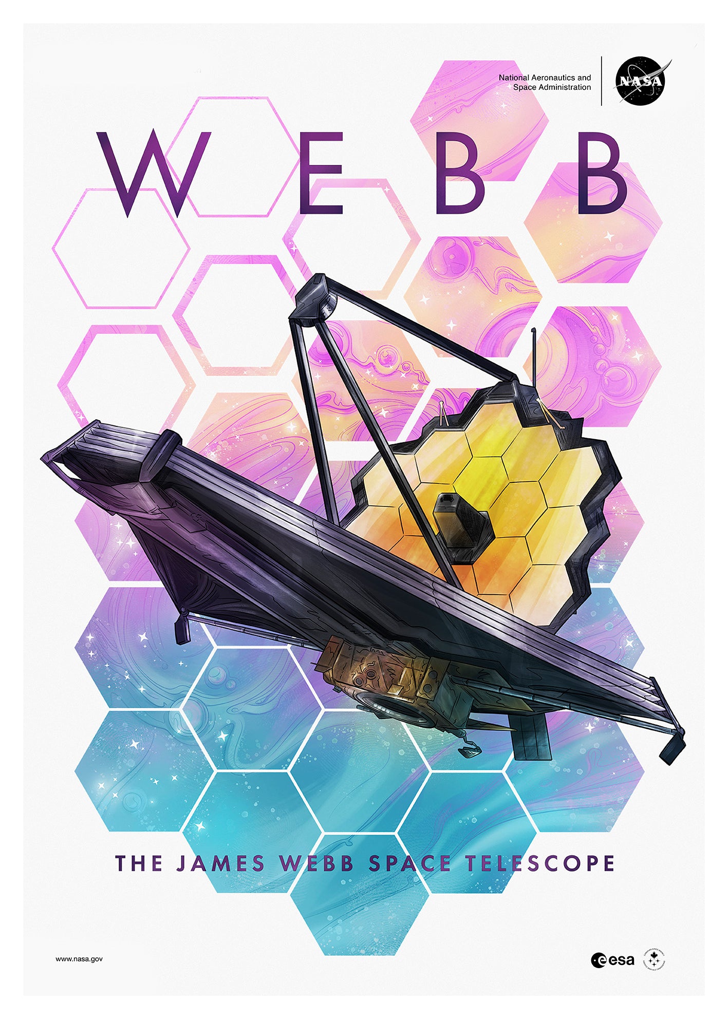 The First Anniversary Of Webb (White)