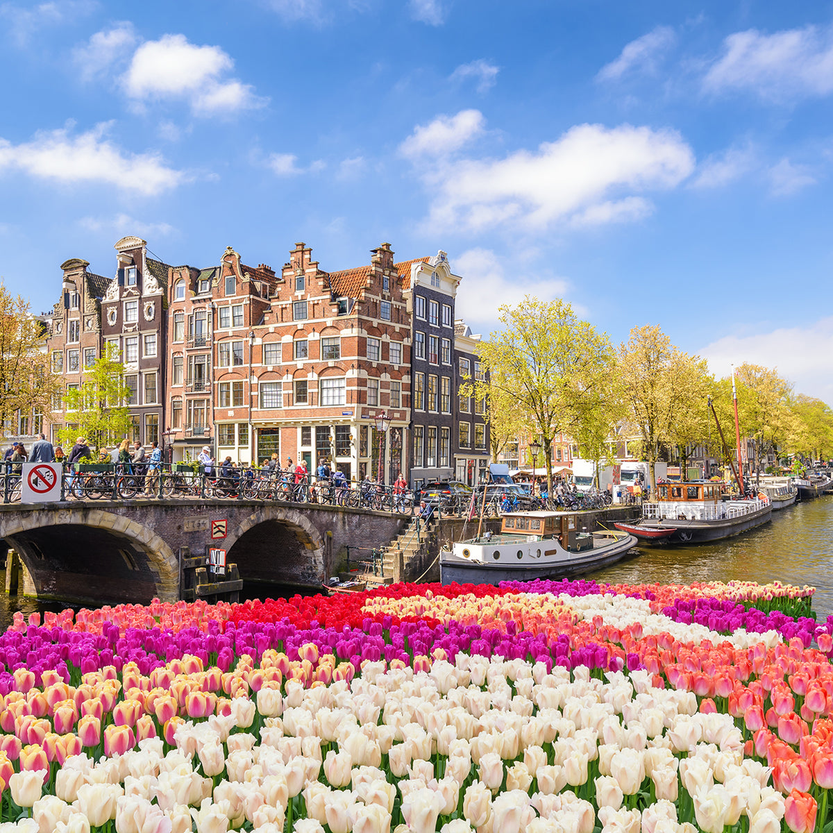 Pop-up kaart Amsterdam, panorama, 3D-wenskaart als souvenir, klein geschenk en verjaardagskaart – decoratie, cadeaubon, decoratie & reisvoucher Holland & Amsterdam Pop-up kaart Amsterdam, panorama, 3D-wenskaart als souvenir, klein geschenk en verjaardagskaart – decoratie, cadeaubon, decoratie & reisvoucher Holland & Amsterdam