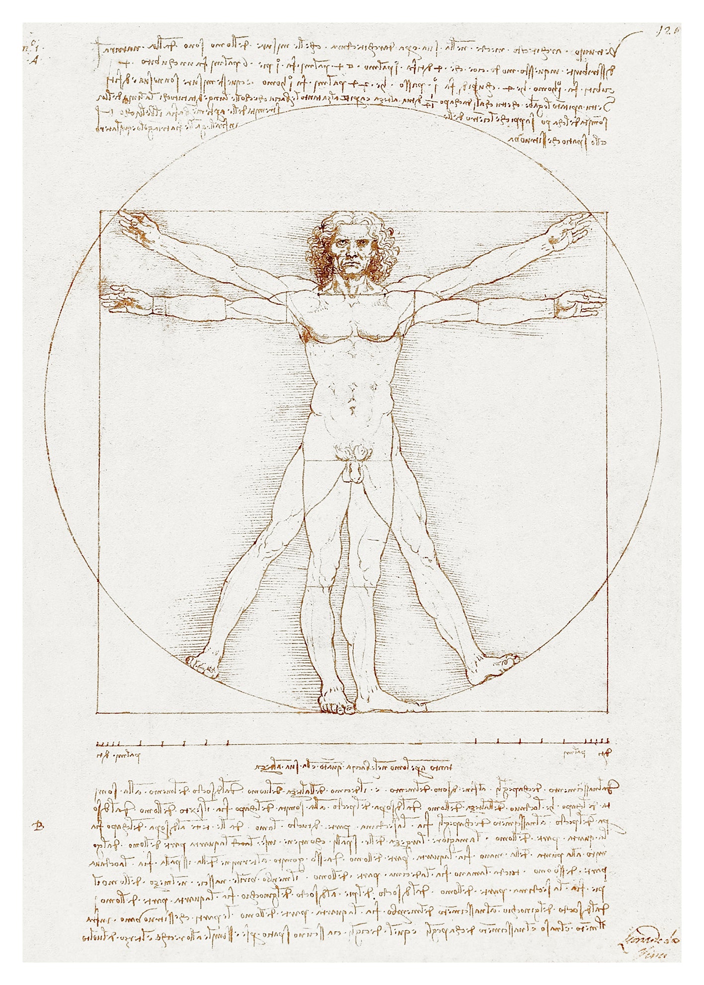 Vitruvius Man